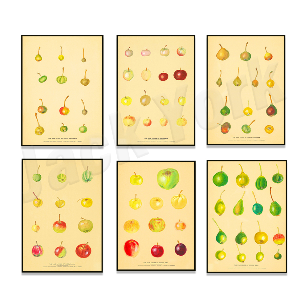 Fruit Kitchen Poster Vintage P - Plant Jackfruit review and price